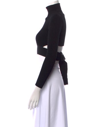 Cushnie Turtleneck Long Sleeve Crop Top