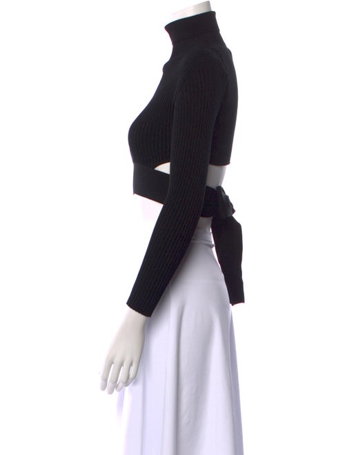 Cushnie Turtleneck Long Sleeve Crop Top