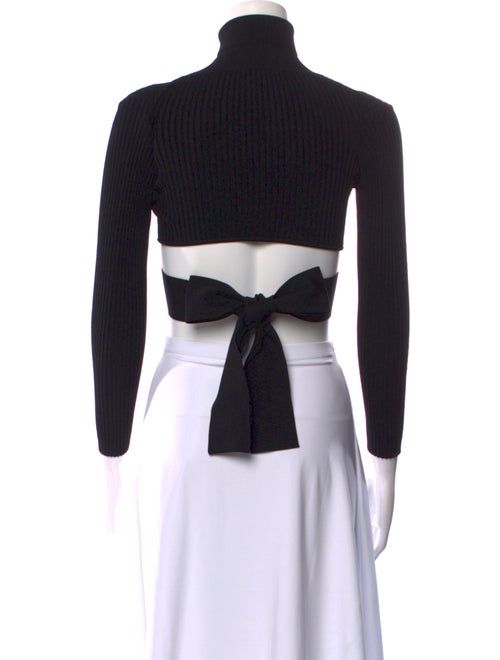 Cushnie Turtleneck Long Sleeve Crop Top