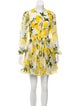 Dolce & Gabbana Lemon Print Dress