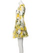 Dolce & Gabbana Lemon Print Dress