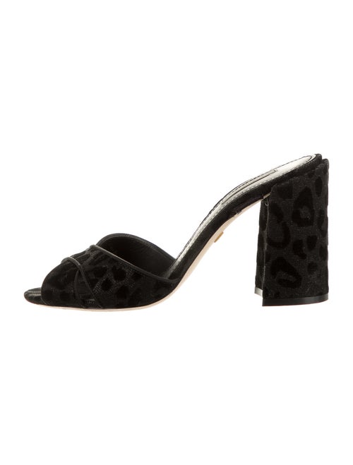 Dolce & Gabbana Slides Black