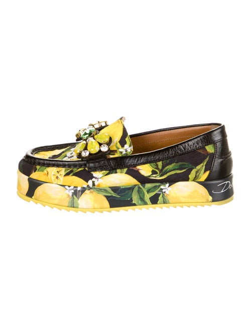 Dolce & Gabbana Printed Crystal Embellishments Loa