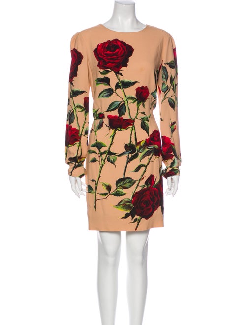 Dolce & Gabbana Rose Print Mini Dress Rose