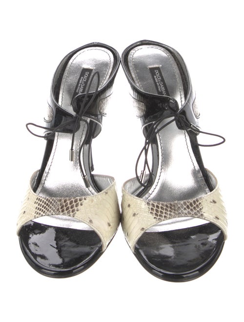 Dolce & Gabbana Python Animal Print Slides