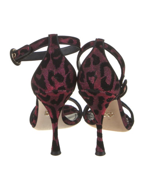 Dolce & Gabbana Sandals