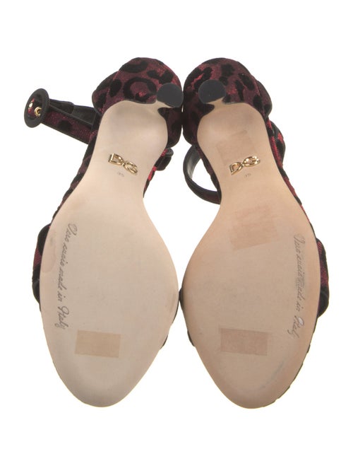Dolce & Gabbana Sandals