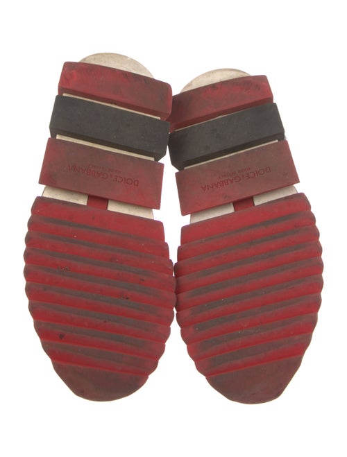 Dolce & Gabbana Printed Sock Sneakers