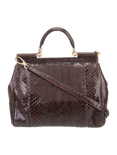 Dolce & Gabbana Python Top Handle Bag