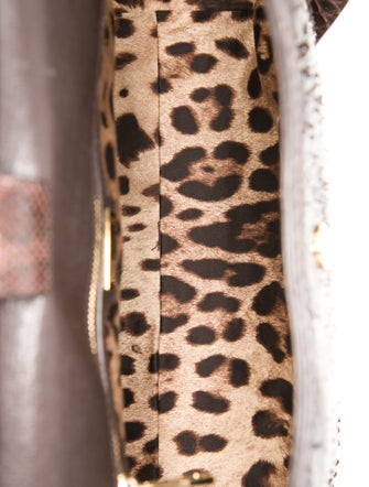 Dolce & Gabbana Python Top Handle Bag