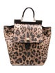 Dolce & Gabbana Backpack