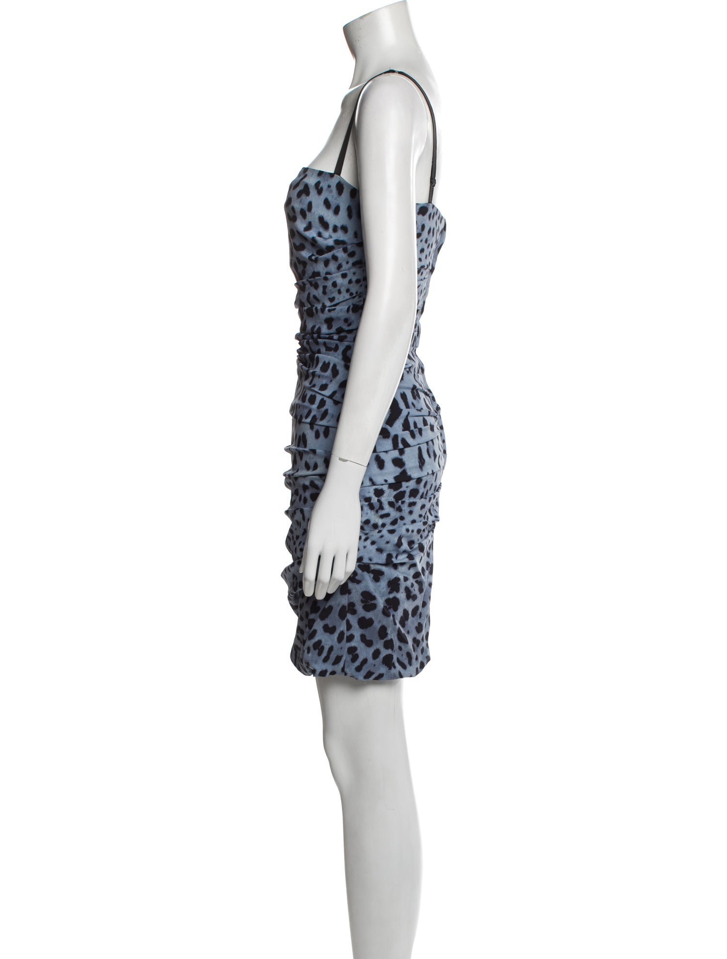 Dolce & Gabbana Silk Mini Dress