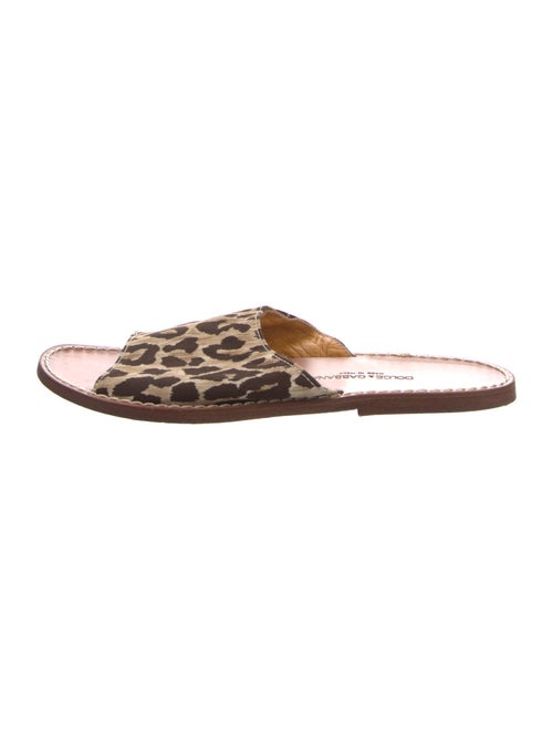 Dolce & Gabbana Canvas Animal Print Slides