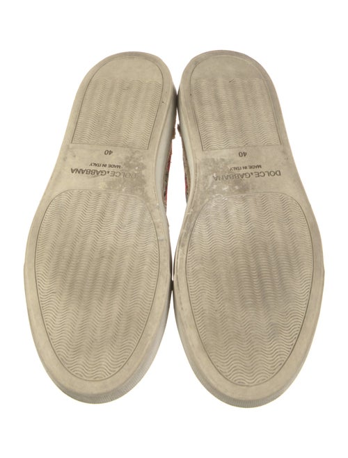 Dolce & Gabbana Canvas Printed Sneakers