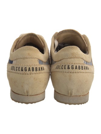 Dolce & Gabbana Canvas Printed Sneakers