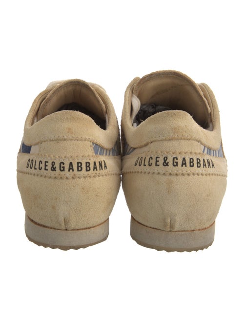 Dolce & Gabbana Canvas Printed Sneakers