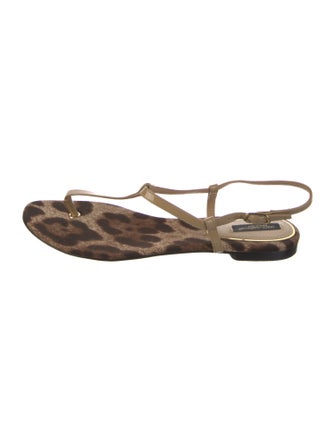 Dolce & Gabbana Patent Leather Animal Print Sandals