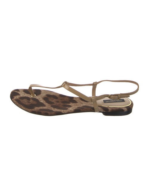 Dolce & Gabbana Patent Leather Animal Print Sandals