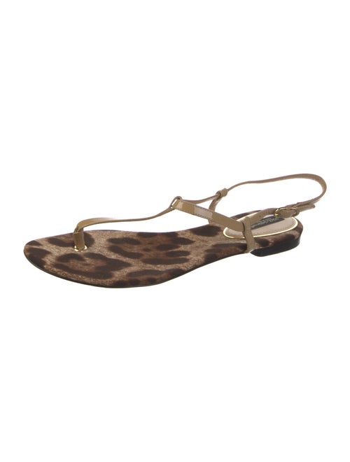 Dolce & Gabbana Patent Leather Animal Print Sandals