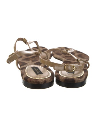 Dolce & Gabbana Patent Leather Animal Print Sandals