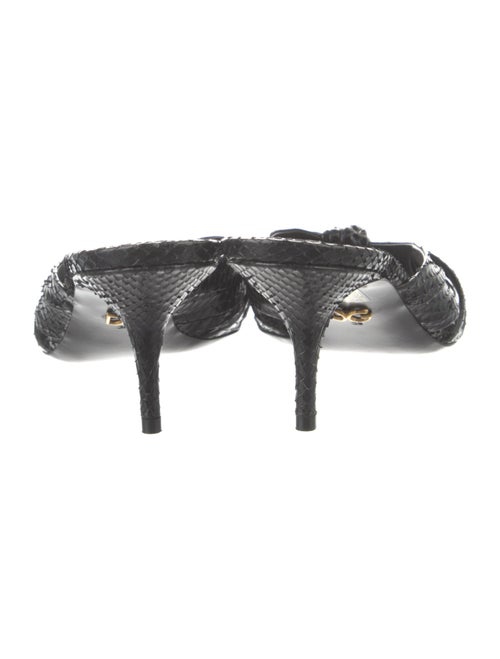 Dolce & Gabbana Python Slides