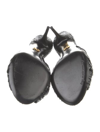 Dolce & Gabbana Python Slides