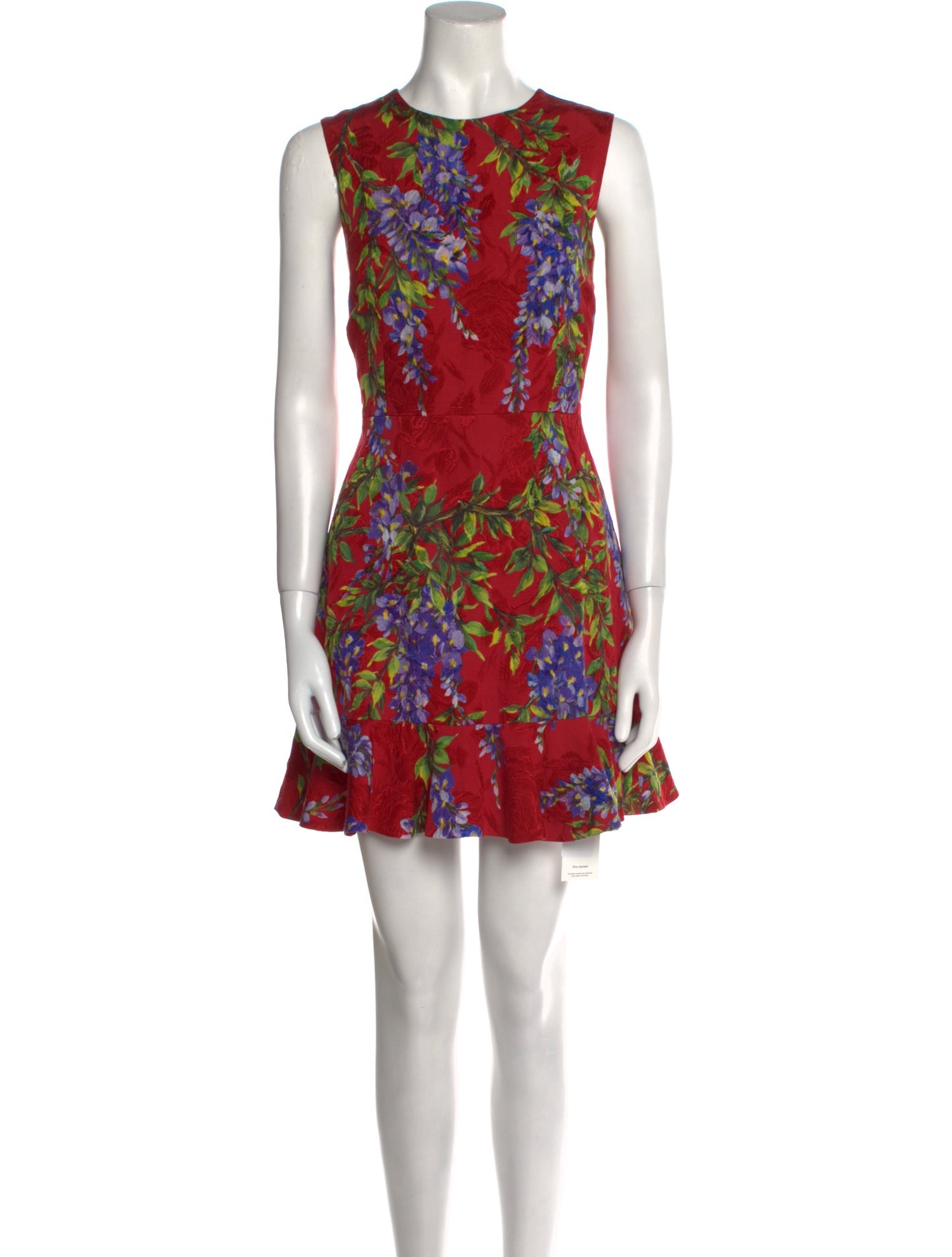 Dolce & Gabbana Floral Print Mini Dress