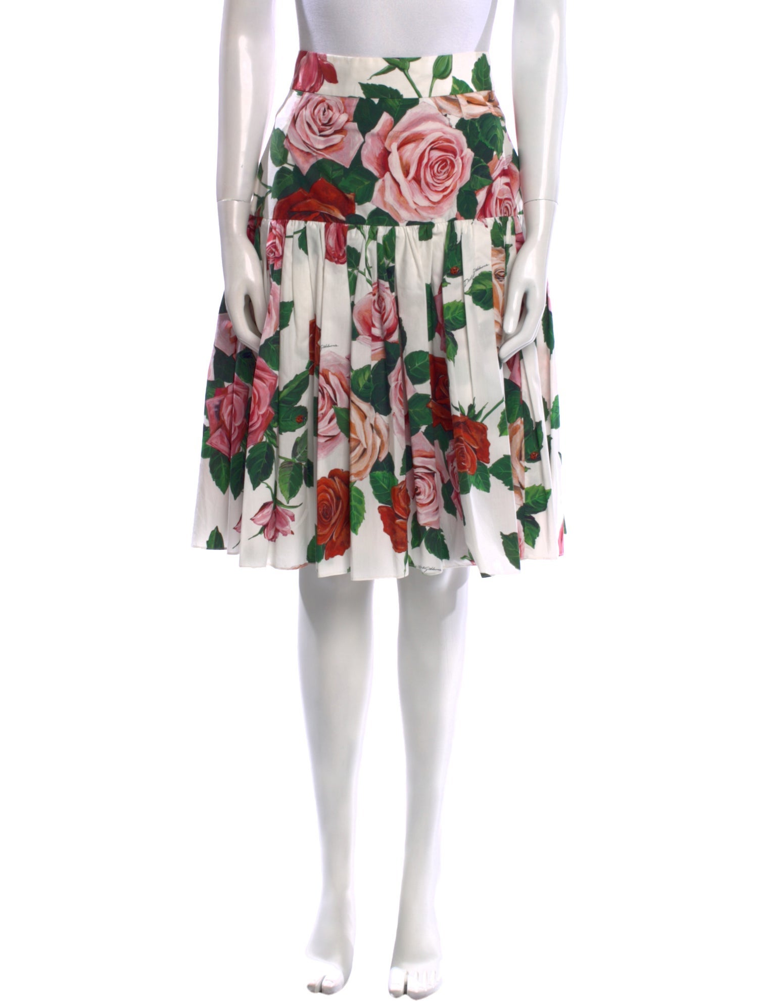 Dolce & Gabbana Floral Print Knee-Length Skirt