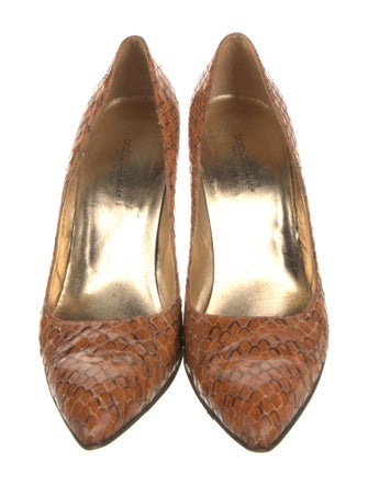 Dolce & Gabbana Snakeskin Animal Print Pumps