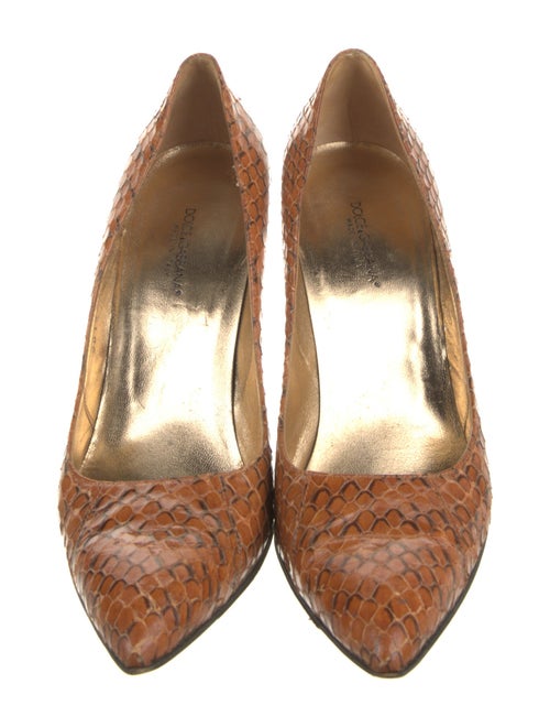 Dolce & Gabbana Snakeskin Animal Print Pumps