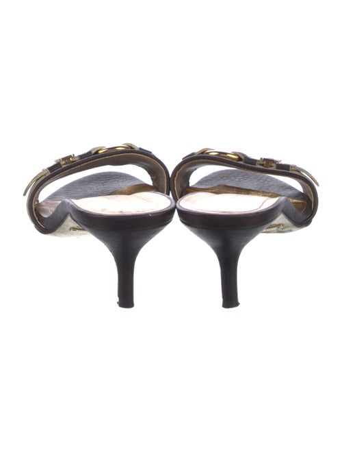 Dolce & Gabbana Leather Printed Slides