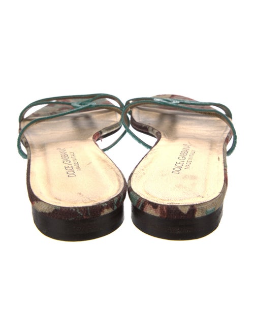 Dolce & Gabbana Leather Animal Print Slides