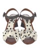 Dolce & Gabbana Canvas Floral Print Sandals