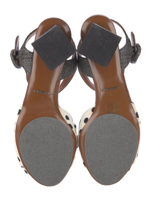 Dolce & Gabbana Canvas Floral Print Sandals