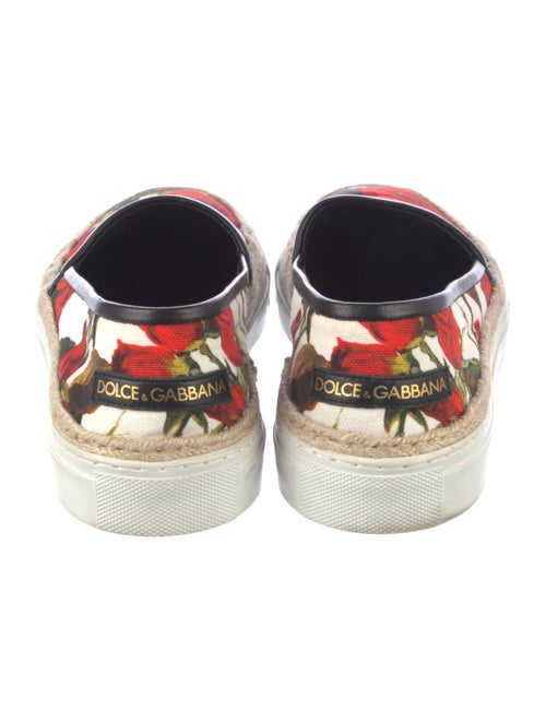 Dolce & Gabbana Canvas Floral Print Sneakers