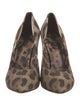 Dolce & Gabbana Canvas Animal Print Pumps