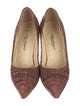 Dolce & Gabbana Tweed Tweed Pattern Pumps