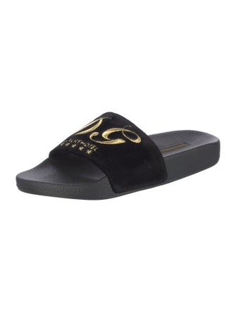 Dolce & Gabbana Velvet Embroidered Accent Slides