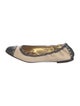 Dolce & Gabbana Canvas Printed Ballet Flats