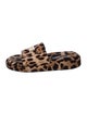 Dolce & Gabbana Terry Cloth Animal Print Slides
