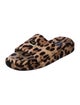Dolce & Gabbana Terry Cloth Animal Print Slides