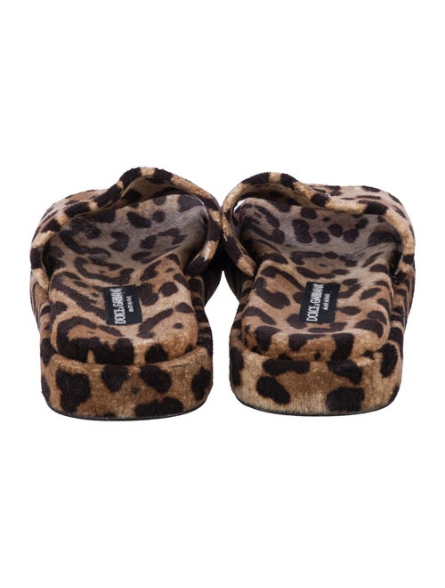 Dolce & Gabbana Terry Cloth Animal Print Slides