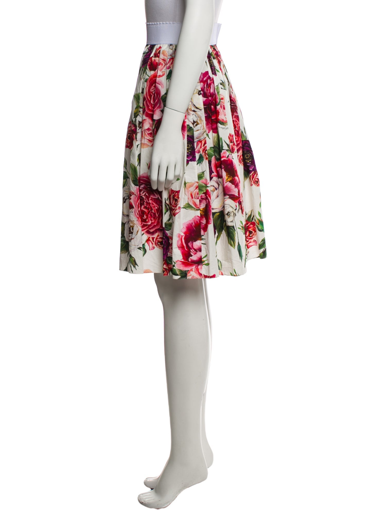 Dolce & Gabbana Floral Print Knee-Length Skirt