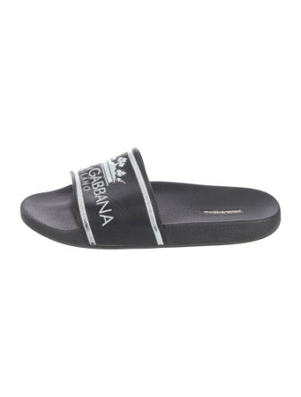 Dolce & Gabbana Rubber Printed Slides
