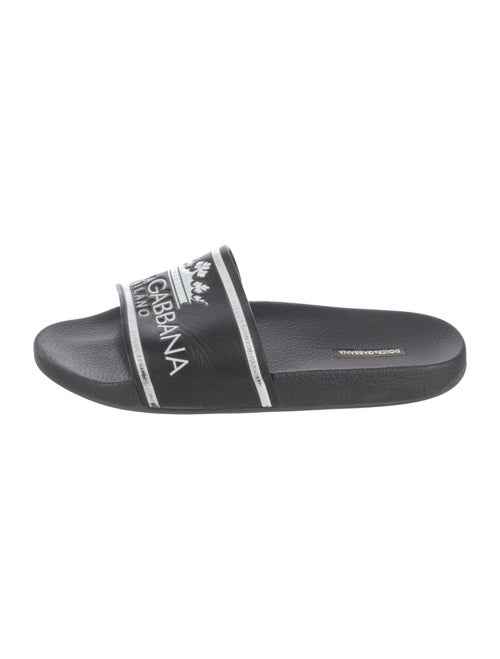 Dolce & Gabbana Rubber Printed Slides
