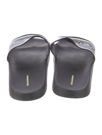 Dolce & Gabbana Rubber Printed Slides