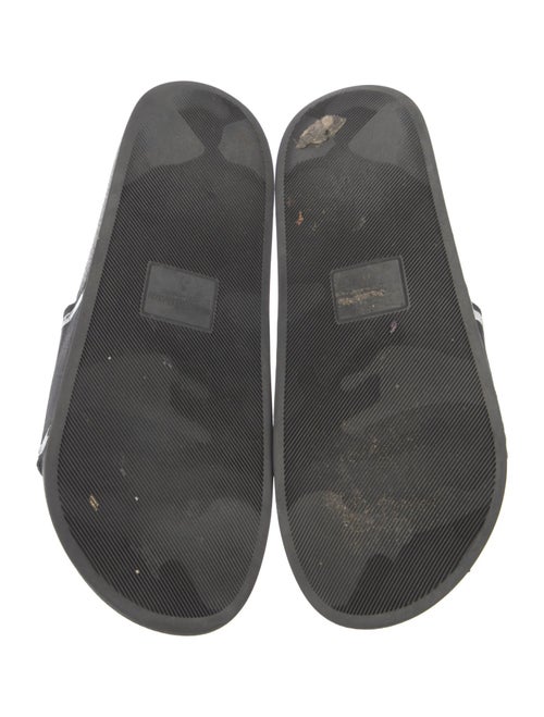 Dolce & Gabbana Rubber Printed Slides