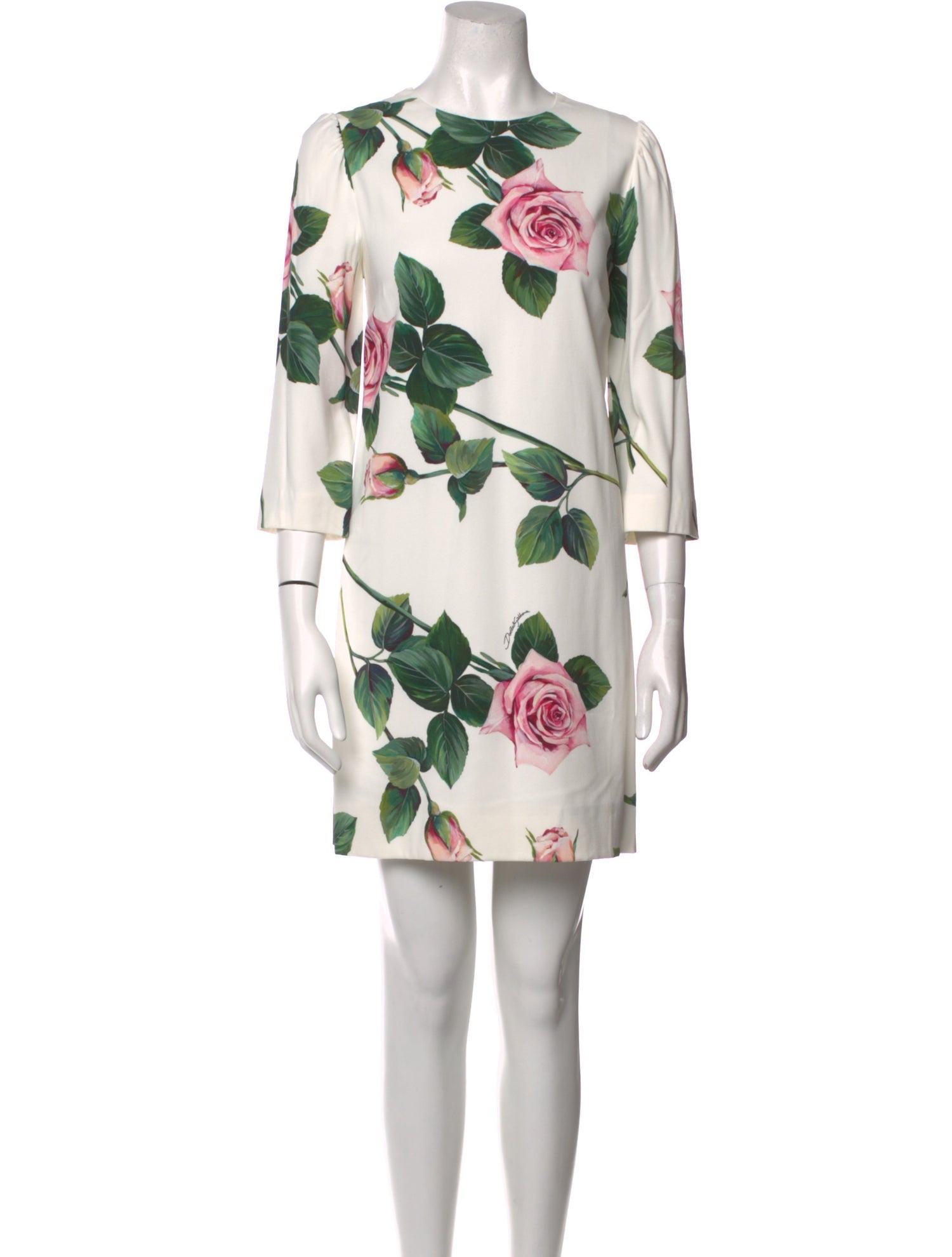 Dolce & Gabbana Floral Print Mini Dress