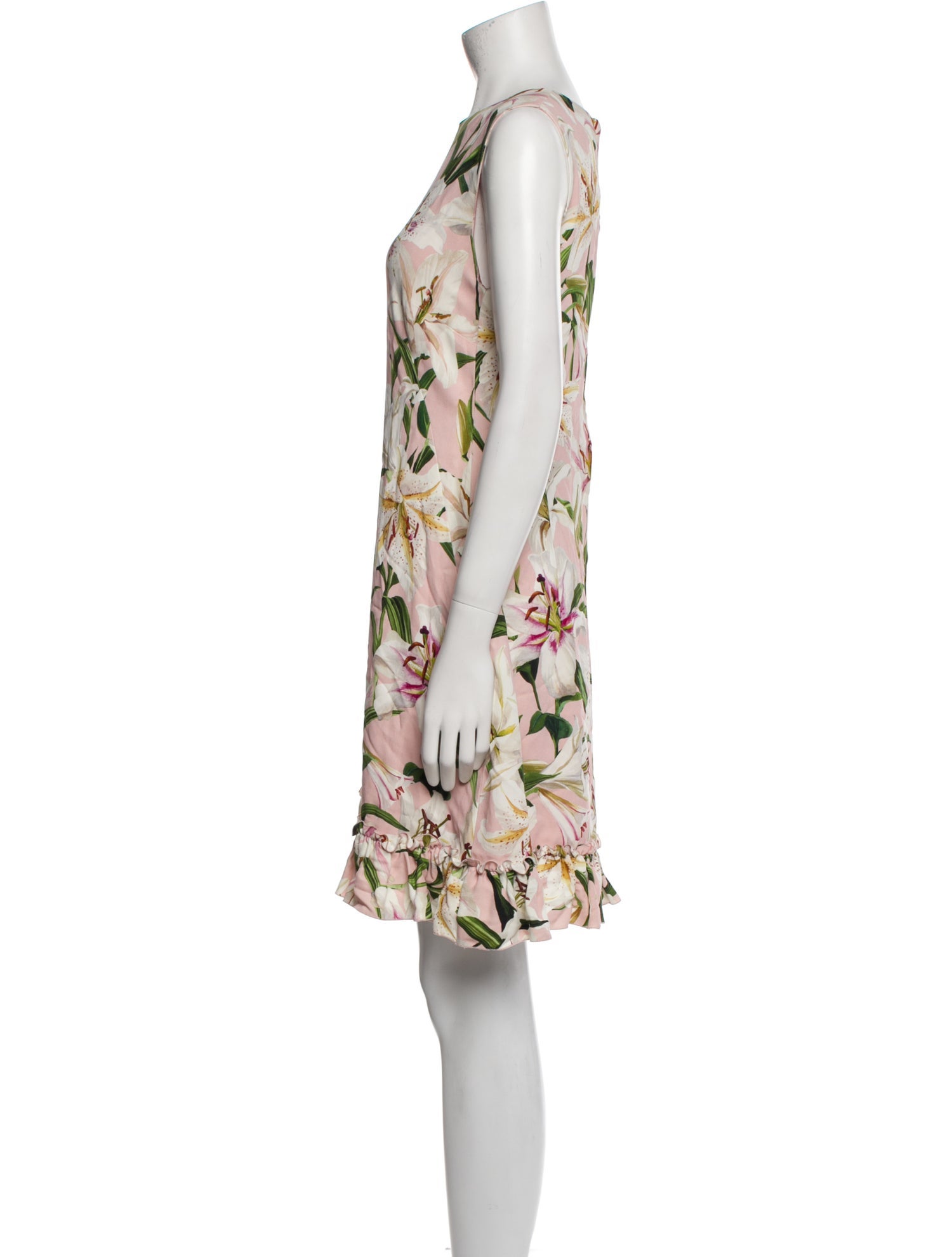 Dolce & Gabbana Floral Print Mini Dress