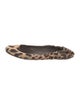 Dolce & Gabbana Canvas Animal Print Flats